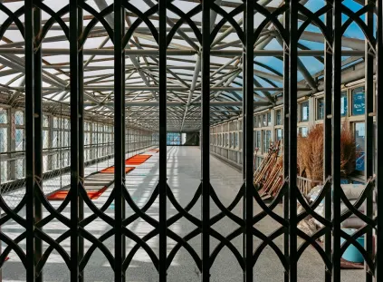 Paripesa Kazino Mobilā lietotne